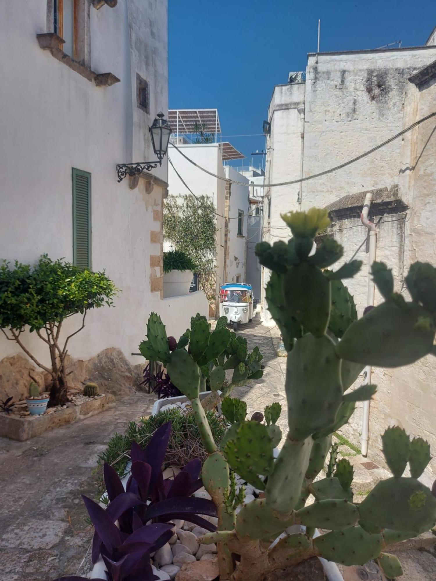 Ferienwohnung Antica Dimora Flale Ostuni Exterior foto